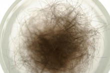 Early Young Male Pubic Hair Growth Pictures | female pubic hair growth pics 2017 2018 best cars reviews Early Young Male Pubic Hair Growth Pictures | female pubic hair growth pics 2017 2018 best cars reviews